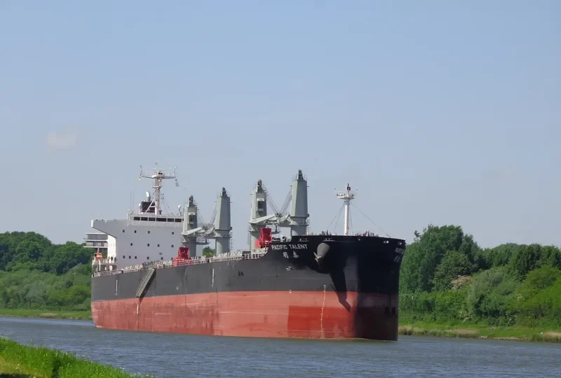 PACIFIC TALENT Bulk Carrier IMO 9712943 photo 4