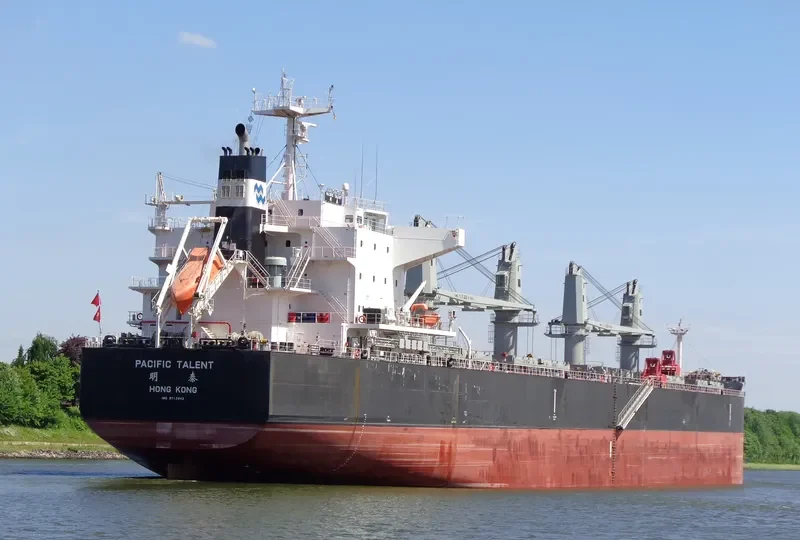 PACIFIC TALENT Bulk Carrier IMO 9712943 photo 5