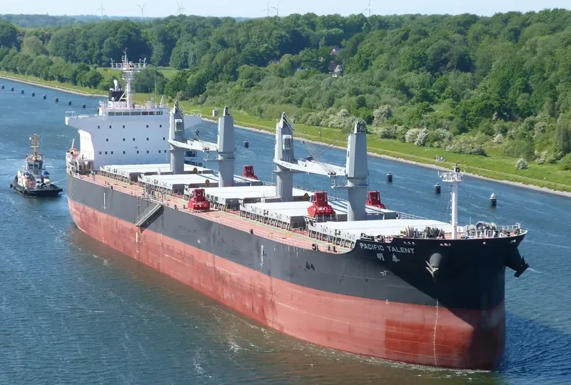 PACIFIC TALENT Bulk Carrier IMO 9712943 photo 6