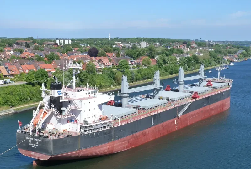 PACIFIC TALENT Bulk Carrier IMO 9712943 photo 7