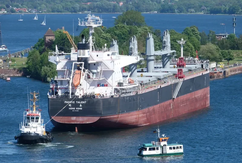 PACIFIC TALENT Bulk Carrier IMO 9712943 photo 8