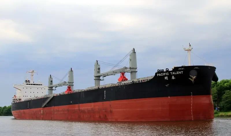 PACIFIC TALENT Bulk Carrier IMO 9712943 photo 10