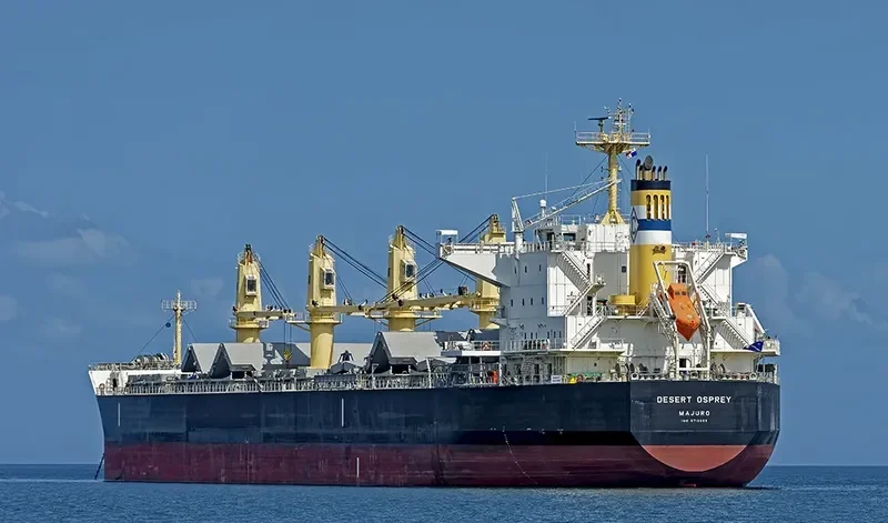 DESERT OSPREY Bulk Carrier IMO 9712955