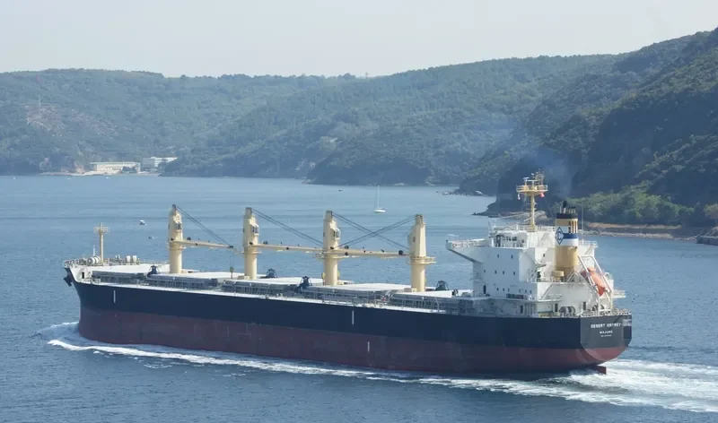 DESERT OSPREY Bulk Carrier IMO 9712955 photo 2