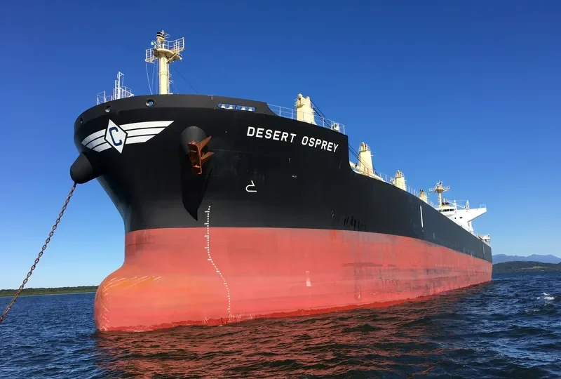 DESERT OSPREY Bulk Carrier IMO 9712955 photo 3