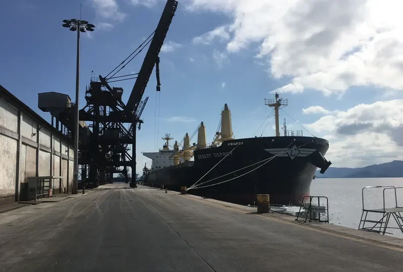 DESERT OSPREY Bulk Carrier IMO 9712955 photo 4