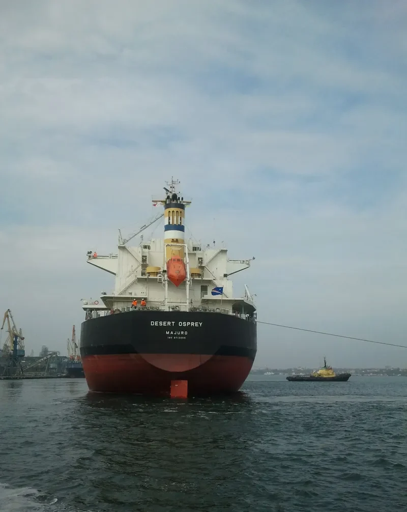 DESERT OSPREY Bulk Carrier IMO 9712955 photo 5