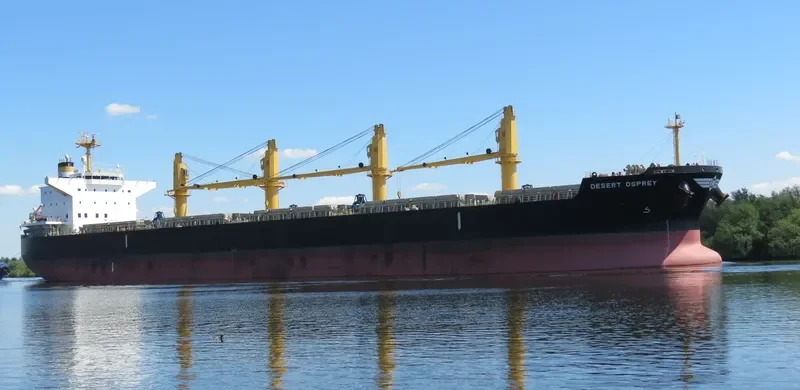 DESERT OSPREY Bulk Carrier IMO 9712955 photo 6