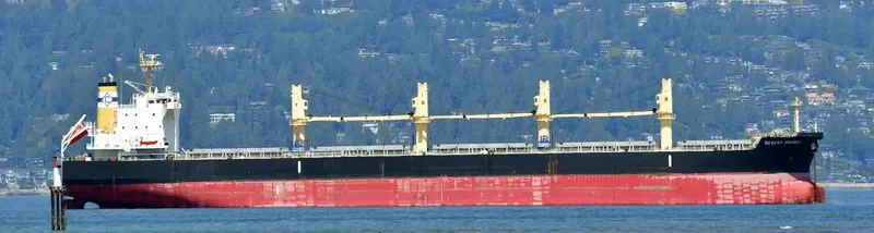 DESERT OSPREY Bulk Carrier IMO 9712955 photo 7
