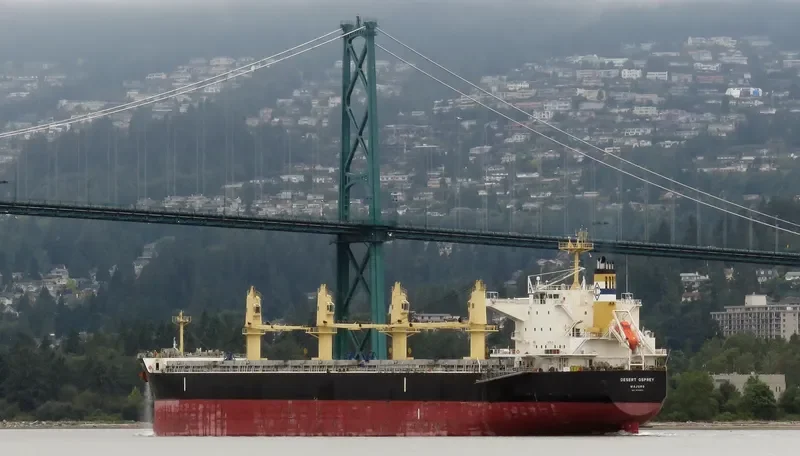 DESERT OSPREY Bulk Carrier IMO 9712955 photo 8