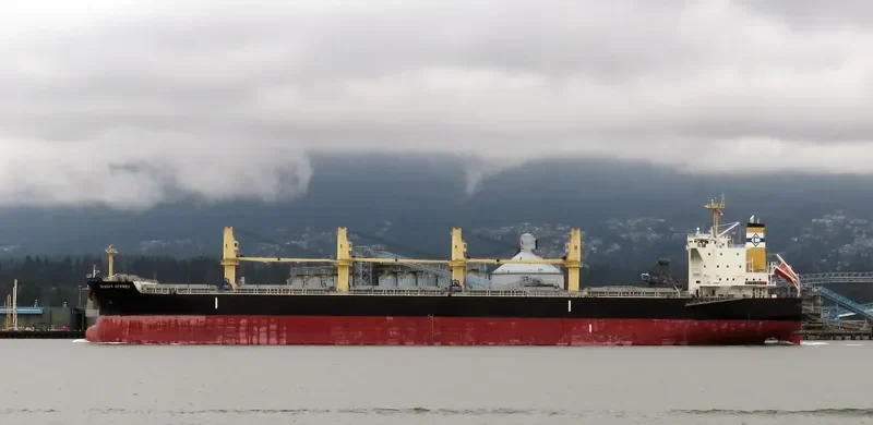 DESERT OSPREY Bulk Carrier IMO 9712955 photo 9