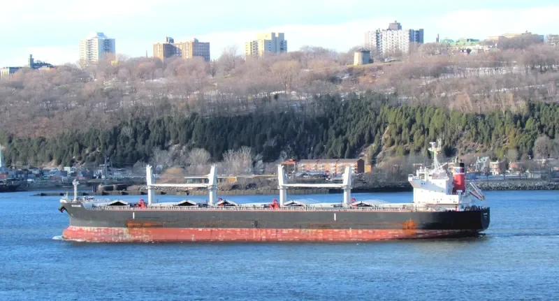 SCARABE Bulk Carrier IMO 9712967