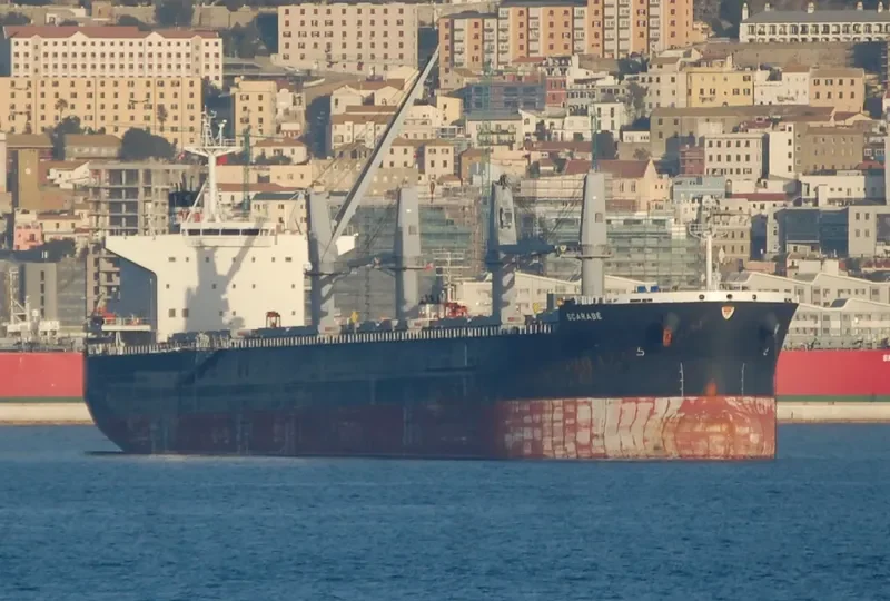 SCARABE Bulk Carrier IMO 9712967 photo 2