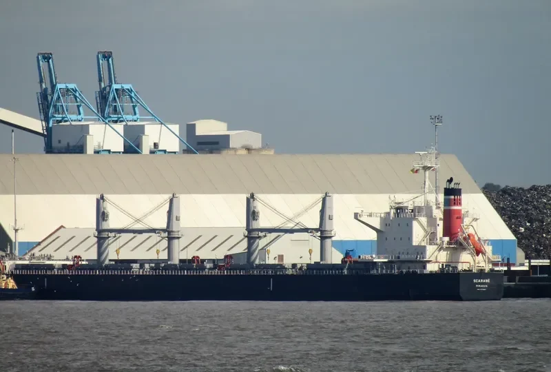 SCARABE Bulk Carrier IMO 9712967 photo 3