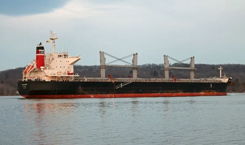 SCARABE Bulk Carrier IMO 9712967 photo 4