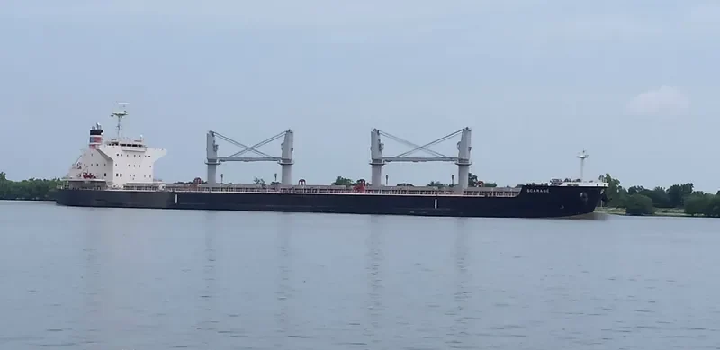 SCARABE Bulk Carrier IMO 9712967 photo 6