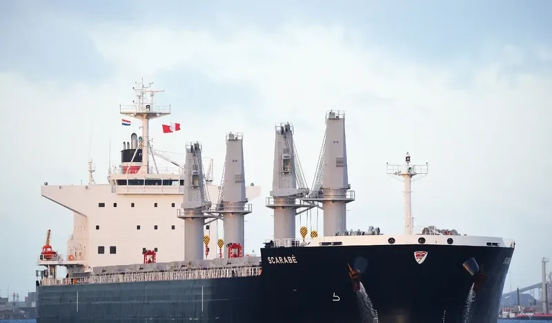 SCARABE Bulk Carrier IMO 9712967 photo 8