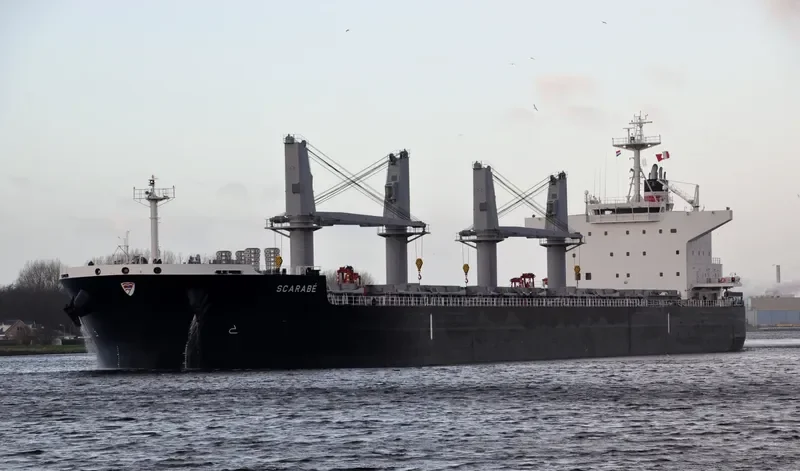 SCARABE Bulk Carrier IMO 9712967 photo 9