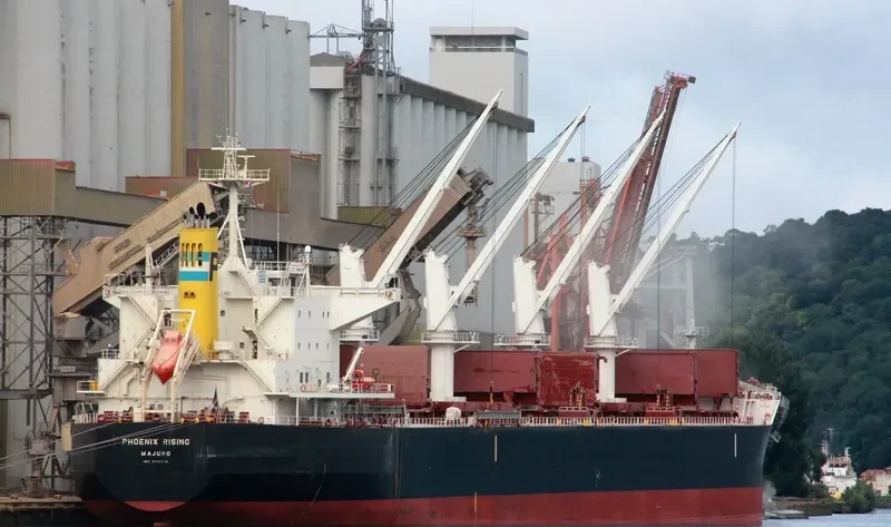 PHOENIX RISING Bulk Carrier IMO 9712979 photo 2