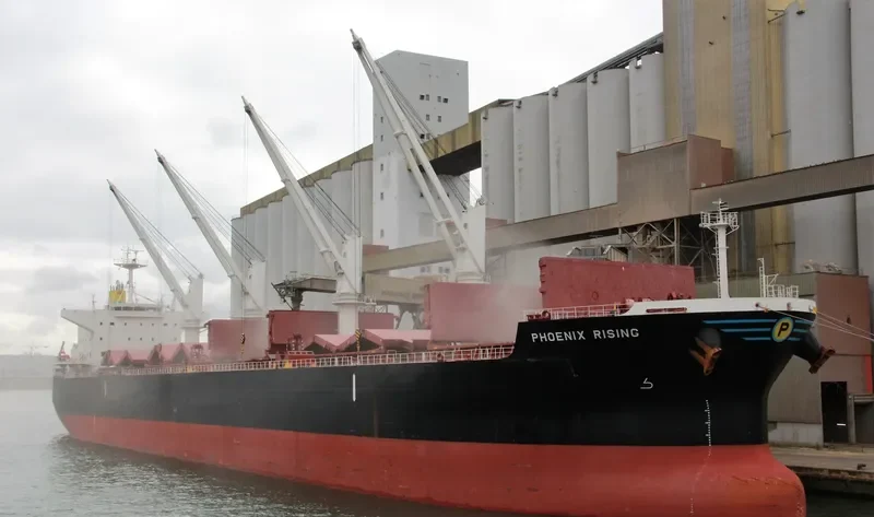 PHOENIX RISING Bulk Carrier IMO 9712979 photo 3