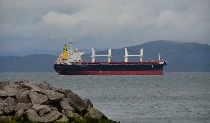 PHOENIX RISING Bulk Carrier IMO 9712979 photo 5