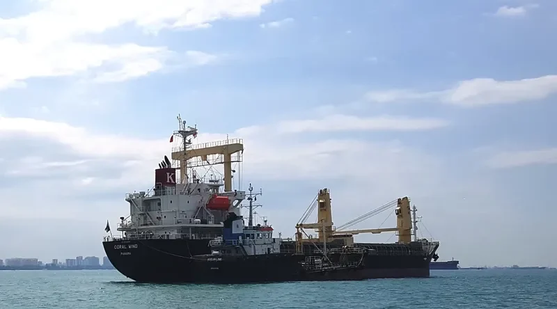 CORAL WIND General Cargo IMO 9713038 photo 2