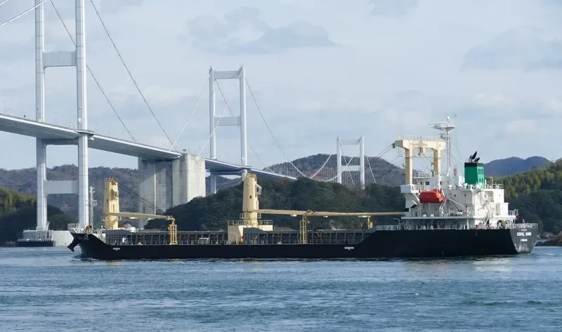 CORAL WIND General Cargo IMO 9713038 photo 6