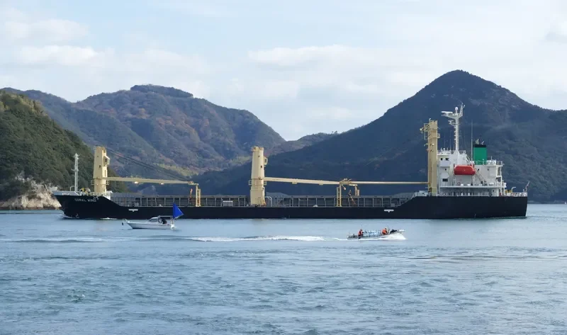 CORAL WIND General Cargo IMO 9713038 photo 7