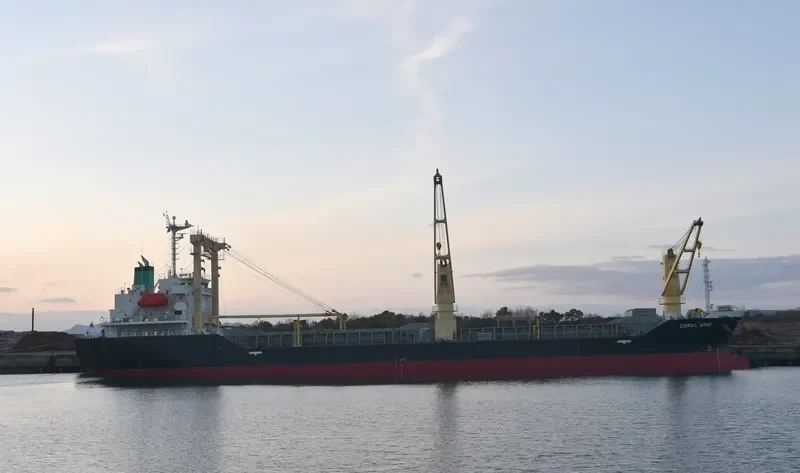 CORAL WIND General Cargo IMO 9713038 photo 10