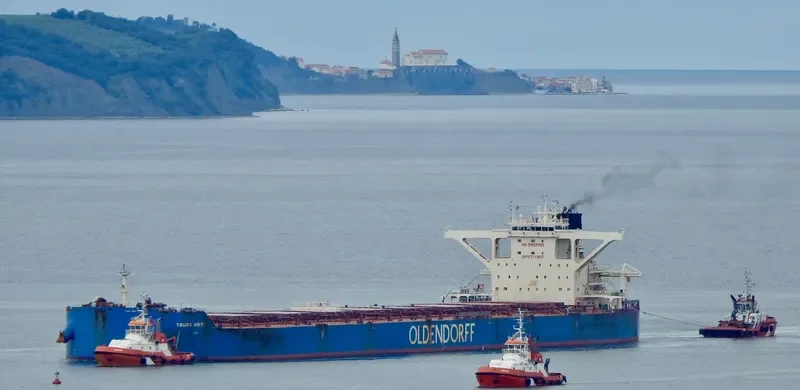 HARK OLDENDORFF Bulk Carrier IMO 9713076 photo 10