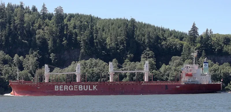 BERGE HAKODATE Bulk Carrier IMO 9713167 photo 2