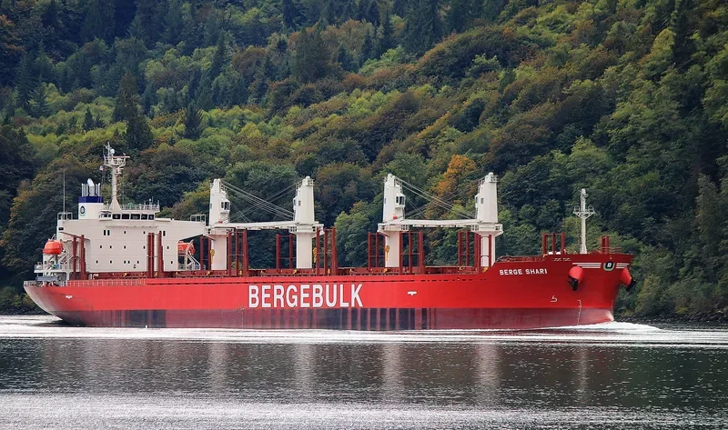 BERGE SHARI Bulk Carrier IMO 9713208 photo 2