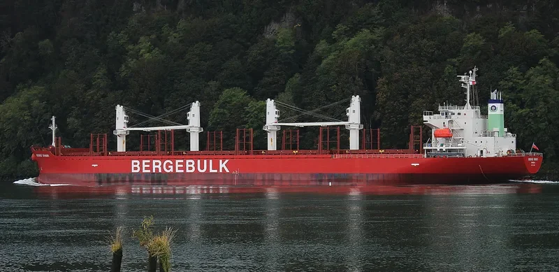 BERGE SHARI Bulk Carrier IMO 9713208 photo 3