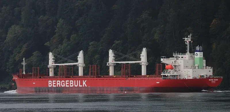 BERGE SHARI Bulk Carrier IMO 9713208 photo 4