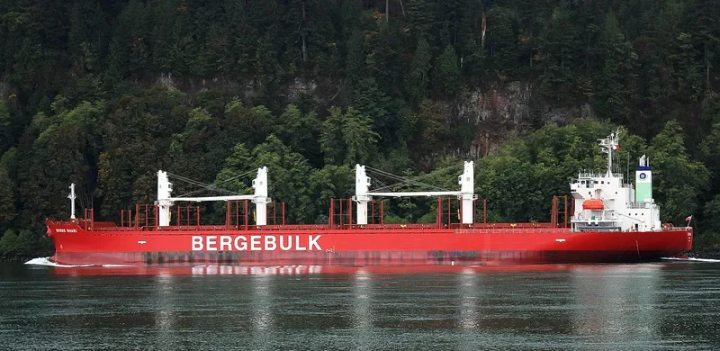 BERGE SHARI Bulk Carrier IMO 9713208 photo 5
