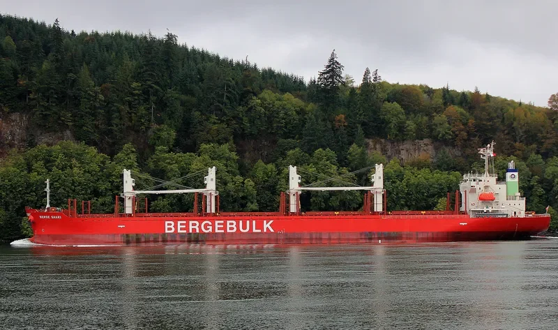 BERGE SHARI Bulk Carrier IMO 9713208 photo 6