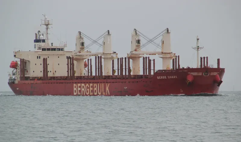BERGE SHARI Bulk Carrier IMO 9713208 photo 8