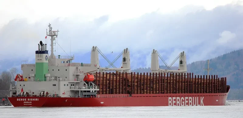 BERGE RISHIRI Bulk Carrier IMO 9713222 photo 6
