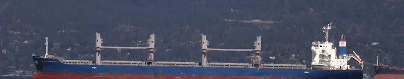 BENJAMIN CONFIDENCE Bulk Carrier IMO 9713234 photo 7