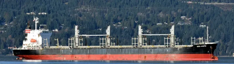 SEA HOPE Bulk Carrier IMO 9713399