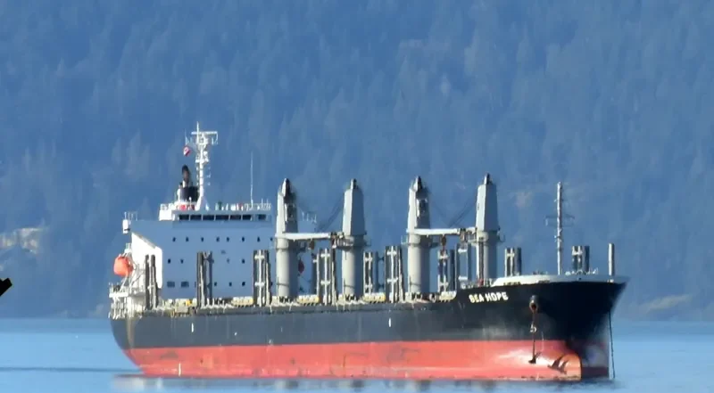 SEA HOPE Bulk Carrier IMO 9713399 photo 2