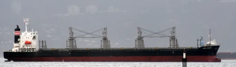 SEA HOPE Bulk Carrier IMO 9713399 photo 3