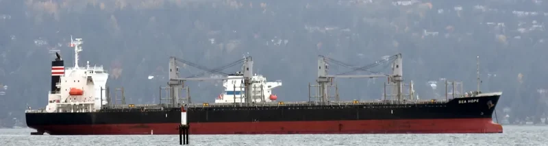 SEA HOPE Bulk Carrier IMO 9713399 photo 4