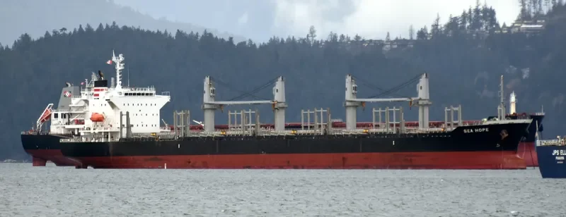 SEA HOPE Bulk Carrier IMO 9713399 photo 5
