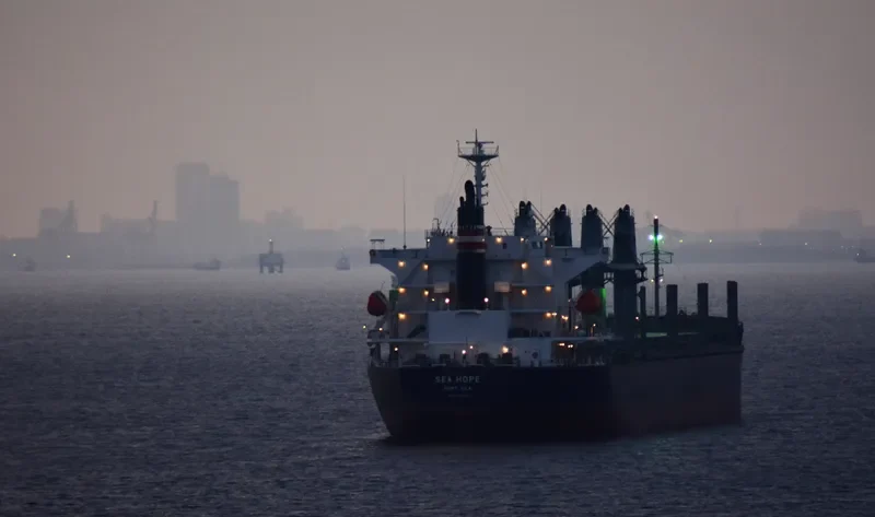 SEA HOPE Bulk Carrier IMO 9713399 photo 6