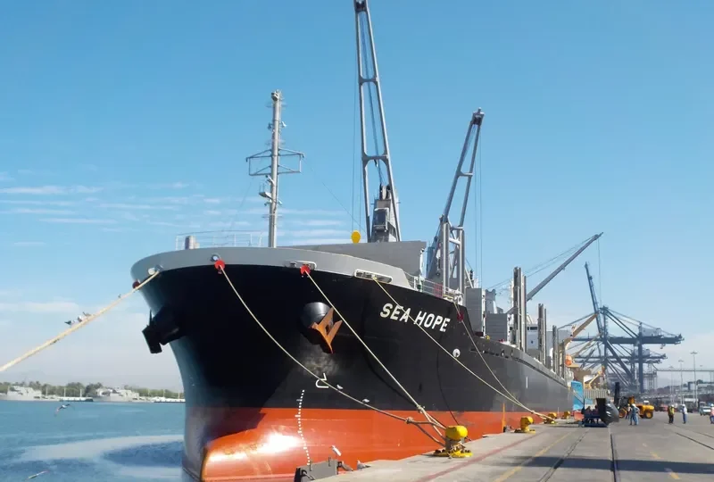 SEA HOPE Bulk Carrier IMO 9713399 photo 7