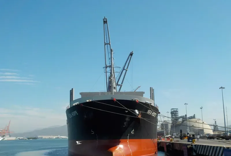 SEA HOPE Bulk Carrier IMO 9713399 photo 8