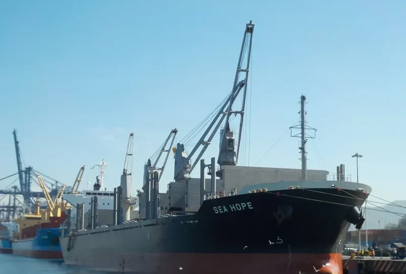 SEA HOPE Bulk Carrier IMO 9713399 photo 9