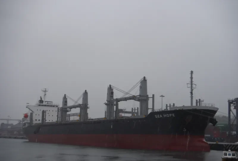 SEA HOPE Bulk Carrier IMO 9713399 photo 10
