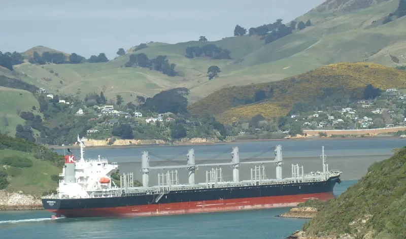 HIMAWARI K Bulk Carrier IMO 9713404 photo 7